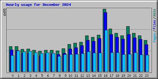 Hourly usage for December 2024