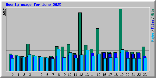 Hourly usage for June 2025