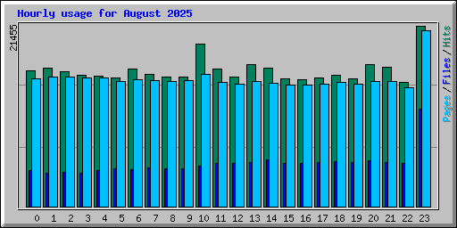 Hourly usage for August 2025