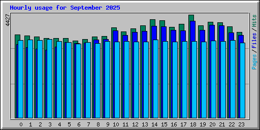 Hourly usage for September 2025