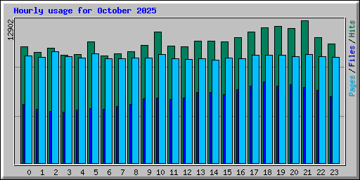 Hourly usage for October 2025