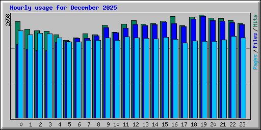 Hourly usage for December 2025