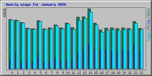 Hourly usage for January 2026